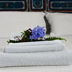 buon-consiglio-bb.lecce-hotels.com/